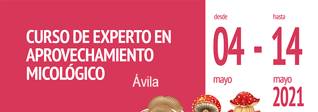 cartel-recurso-micologico_avila-cesefor.png