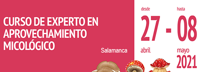cartel-recurso-micologico_salamanca-cesefor.png