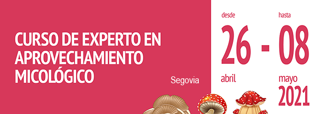 cartel-recurso-micologico_segovia-01-cesefor.png