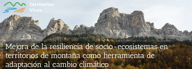 cesefor_noticias1.png