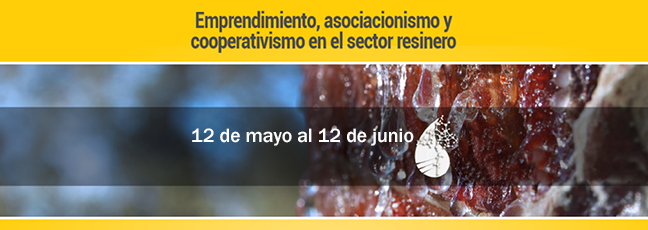 curso-sfp.png