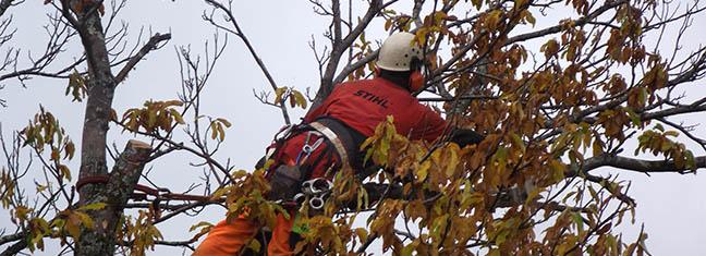 dscf7609.jpg