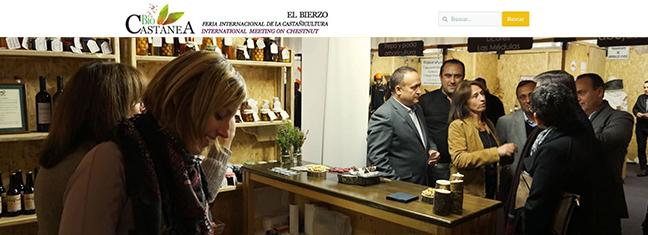 feria-2.jpg