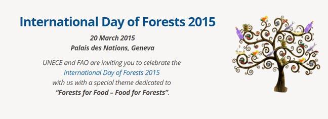 forests.jpg