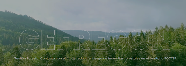 gefrecon.png