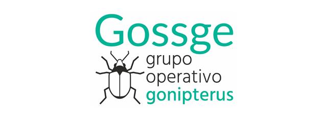 gosse.jpg