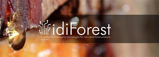 idiforest_indforma.jpg