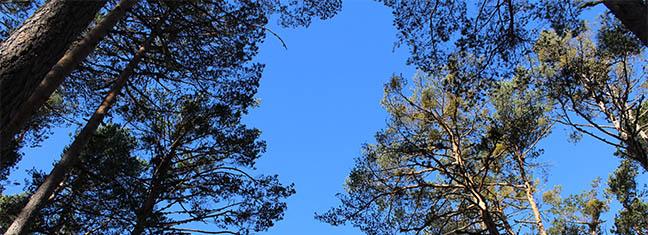 img_1537.jpg