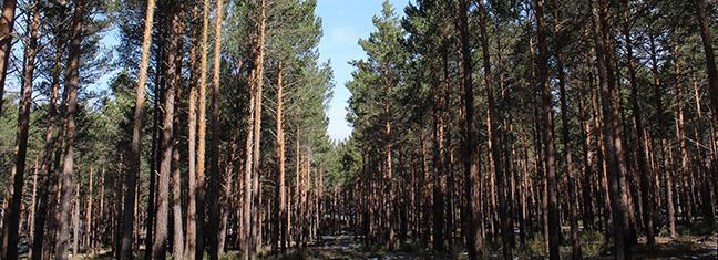 img_1582.jpg