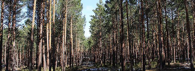 img_1583.jpg