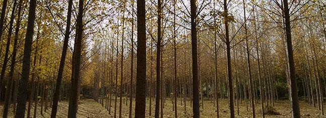 img_20151016_143321748.jpg