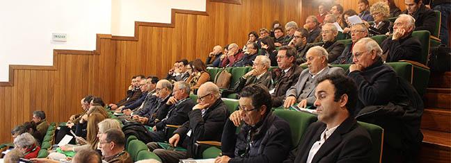 img_9800_ind.jpg