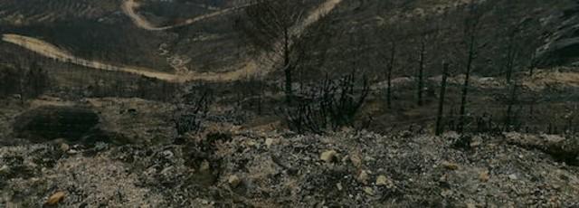 incendio.jpg