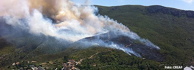 incendio_vent_lariba_19-7-2011.jpg