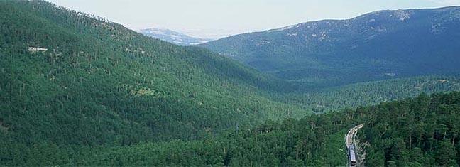 mont.jpg