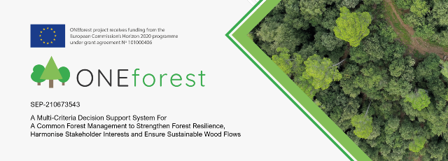 oneforest.png