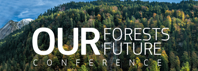 ourforests.png