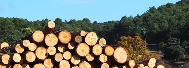 p1010020.jpg