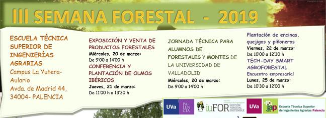 programa_sm_19_rev_1-1.jpg