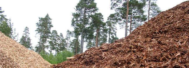 proyecto_clima_copia.jpg