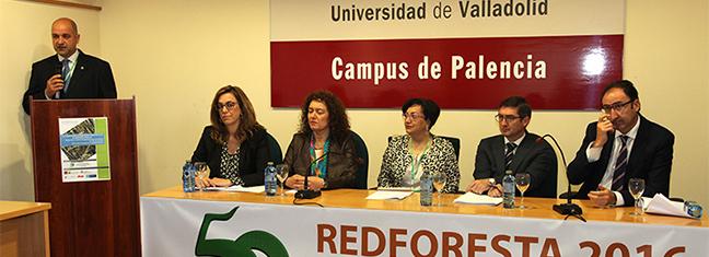 redforesta_palencia.jpg