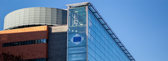 rosewood_in_brussels.png