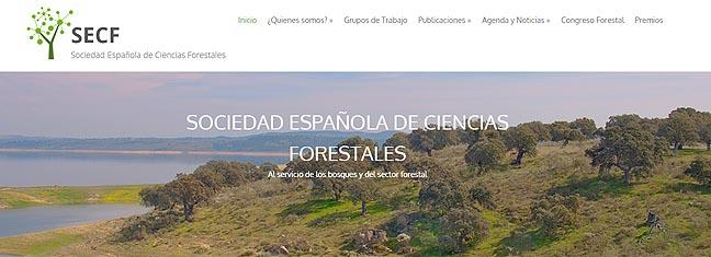 secf_premios.jpg
