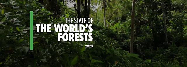 sofo2020.jpg