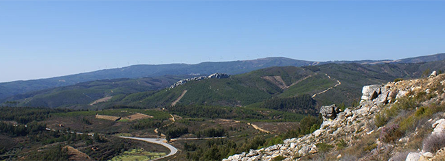 sustforest_jornada_mayo.png
