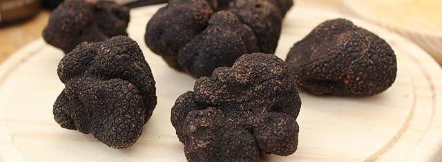 trufas_cesefor_indforma.jpg