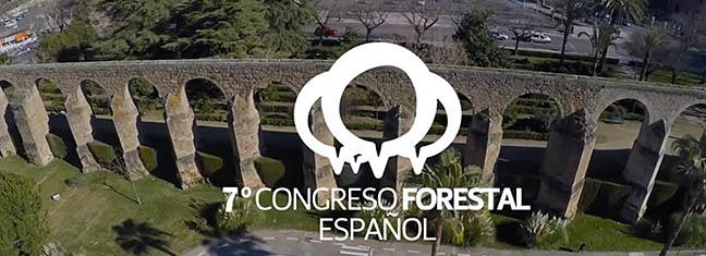video-plasencia_7-congreso-forestal-espanol.jpg
